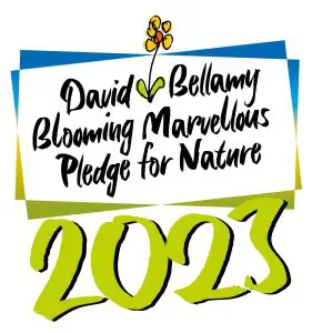 David Bellamy 2023