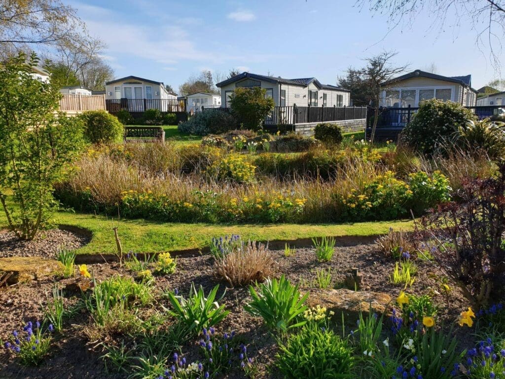 Ord House Country Park: Unveiling Park Secrets