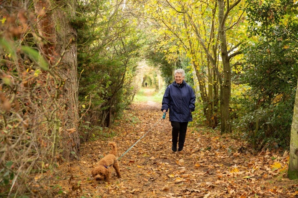Autumn at Maguires Country Parks