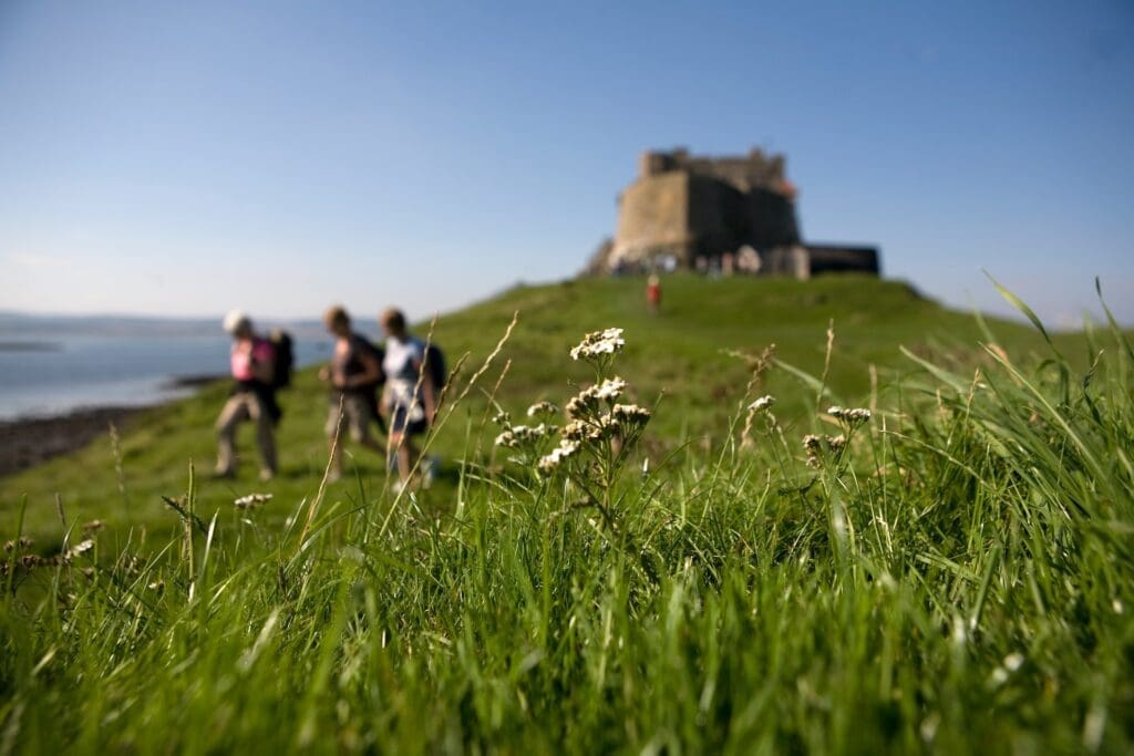 Northumberland Spring Activities