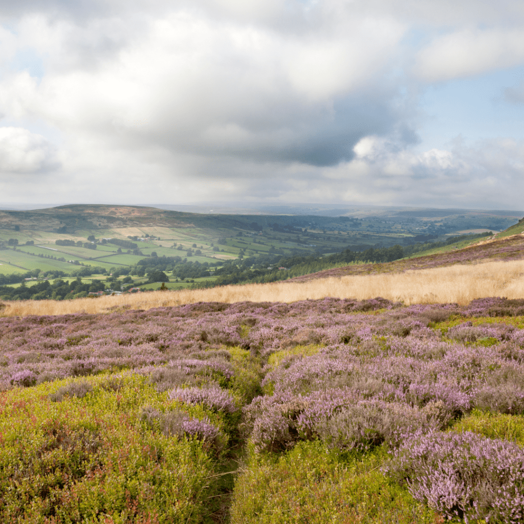 North York Moors