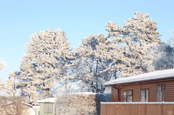 Winter Breaks at Maguires Country Parks