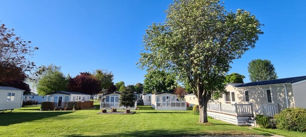Park Spotlight: Newbus Grange Country Park