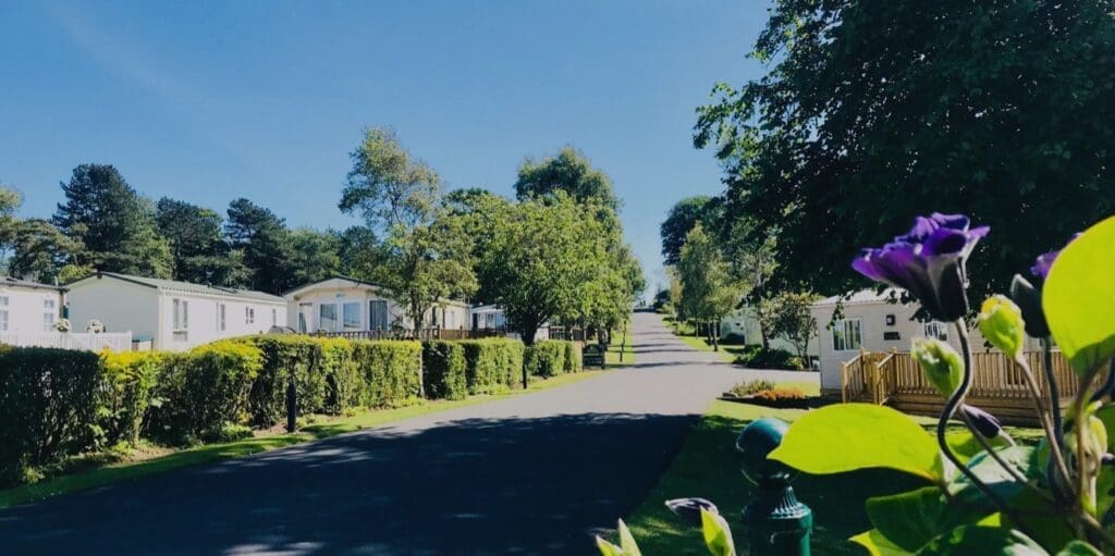 Which Maguires Country Park Is Right for Me?
