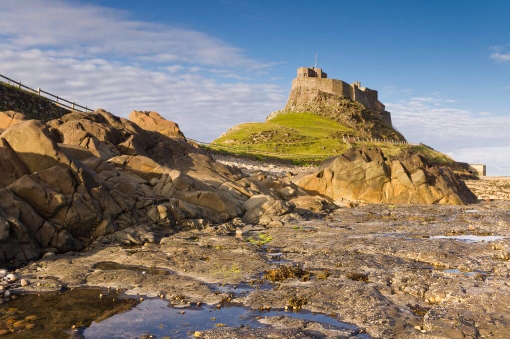 5 Summer Activities To Try At Your Park