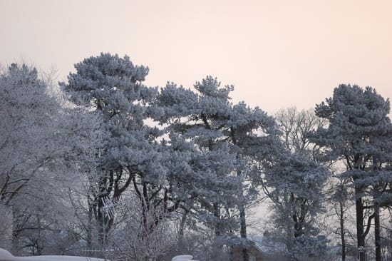 Festive Breaks at Maguires Country Parks